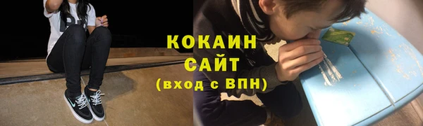 мет Алексин