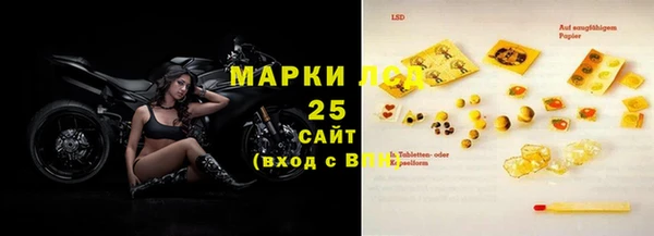 мет Алексин