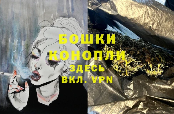 мет Алексин