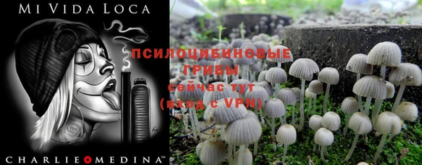 МДМА Алексеевка
