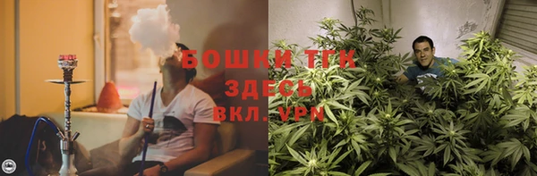 мет Алексин
