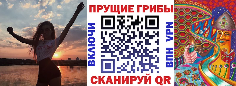 OMG онион  Петрозаводск  Псилоцибиновые грибы Magic Shrooms 