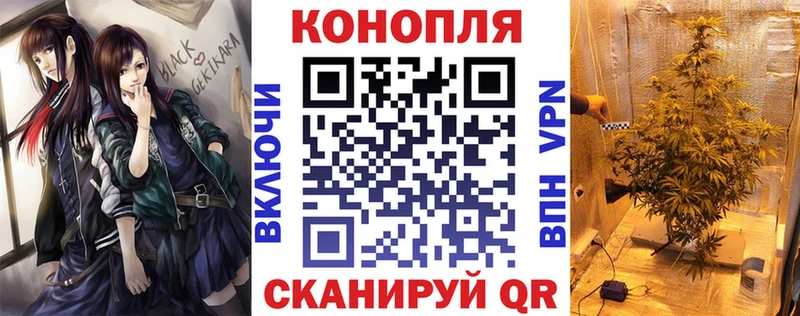 Канабис планчик  как найти   Петрозаводск 